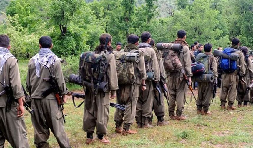 Irak'ın kuzeyinde 10 PKK'lı daha etkisiz hale getirildi