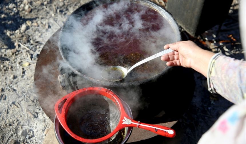 Dağlardan toplanan defne meyveleri geleneksel yöntemle yağa dönüştürülüyor