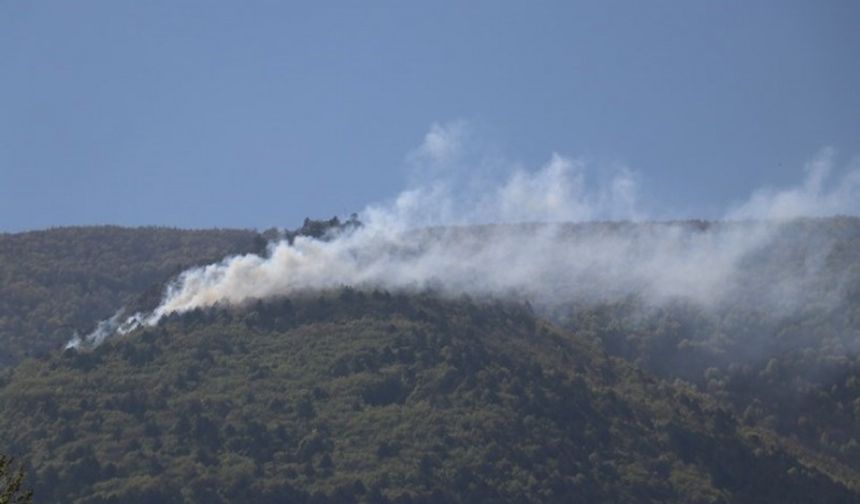 Bursa Uludağ'ın Eteklerinde Orman Yangını! Ekipler Müdahale Ediyor