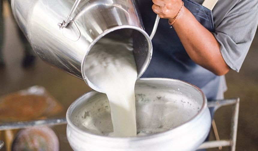 Çiğ Süt Üretimi Yüzde 0,4 Azaldı