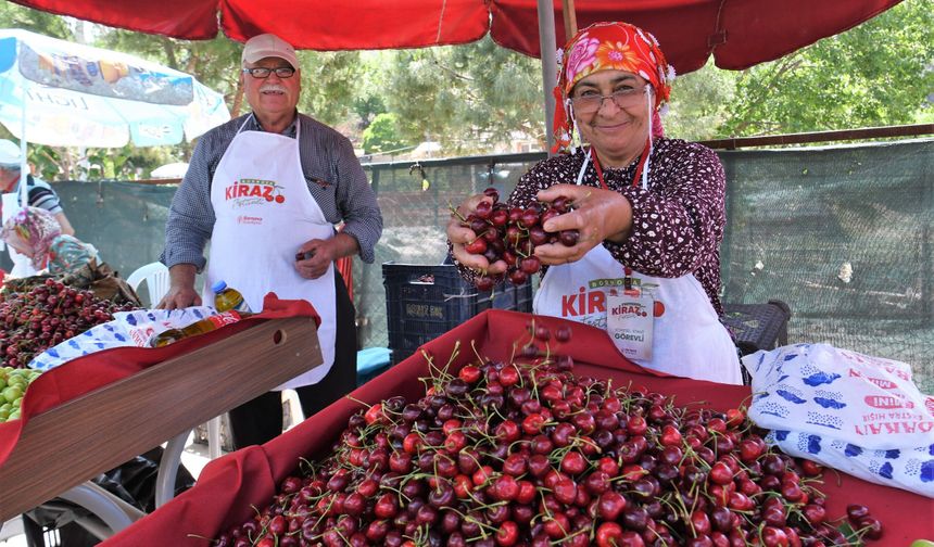Beşyol’daki Kiraz Festivali’nde üretim, dayanışma ve eğlence bir araya geldi