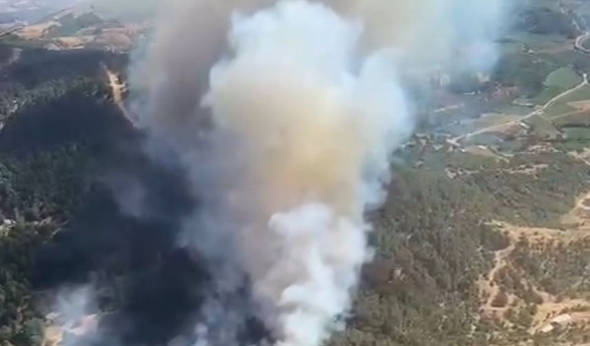 Sondakika | İzmir Ödemiş'te orman yangını