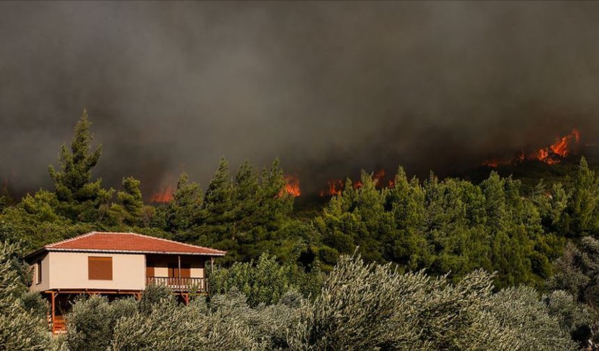 İzmir ve Ege'de yangın bilançosu