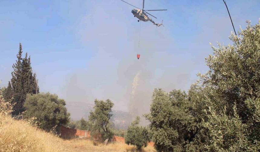 Aydın'da büyüyen yangın ekipleri zor durumda bıraktı