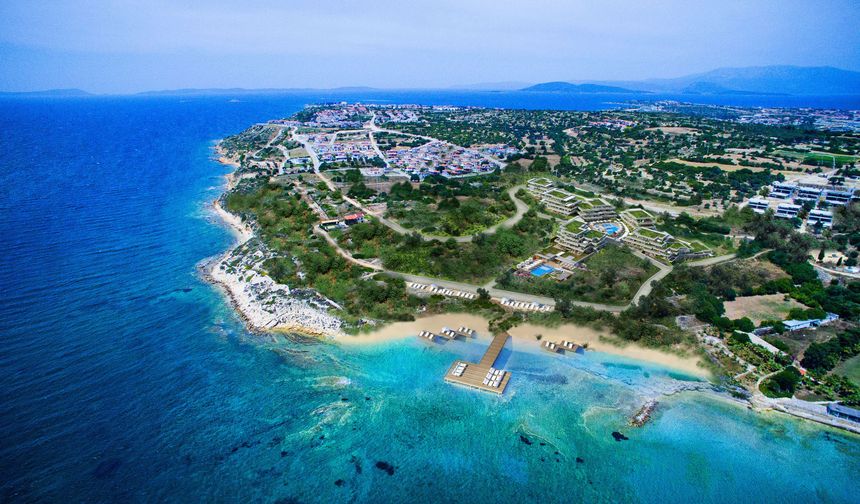 Ege Denizi'nde egzotik türlerin sayısı düşüyor