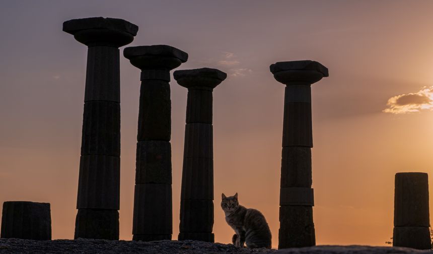Bornova’da “Müzede An” fotoğraf yarışması sonuçlandı