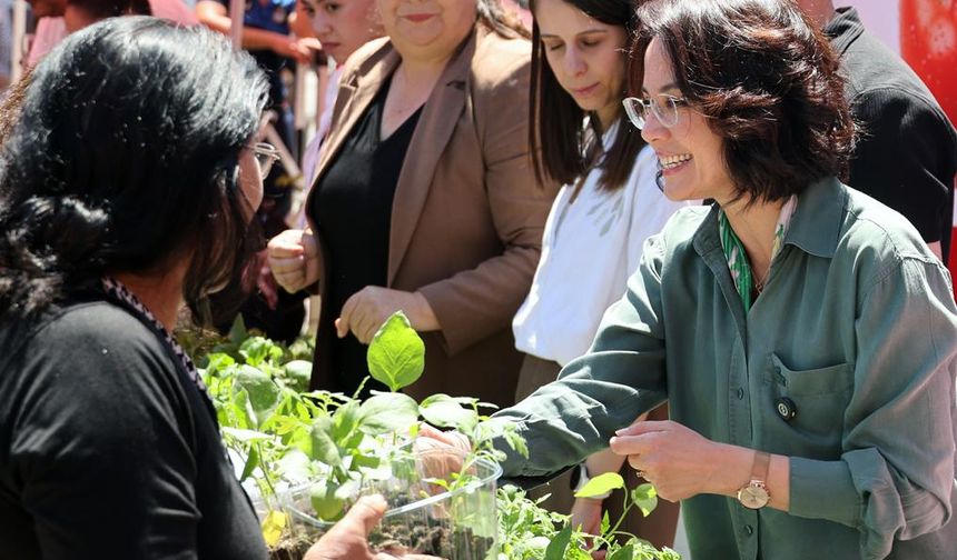 Menteşe Belediyesi’nden 60 bin ata tohumu fidesi