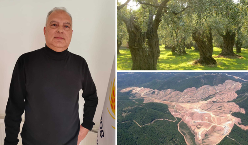 Hakan Çakıcı: Zeytinliklerin madenciliğe açılması demek, halkın gıdaya erişimine doğrudan tehdit