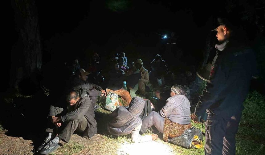 Balıkesir’de 29 düzensiz göçmen yakalandı