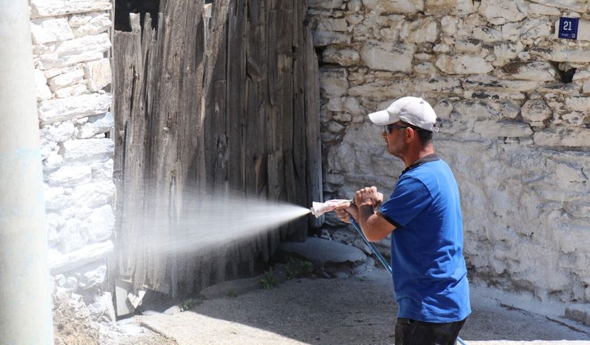 Bozdoğanda haşereye karşı kireçleme çalışmaları sürüyor