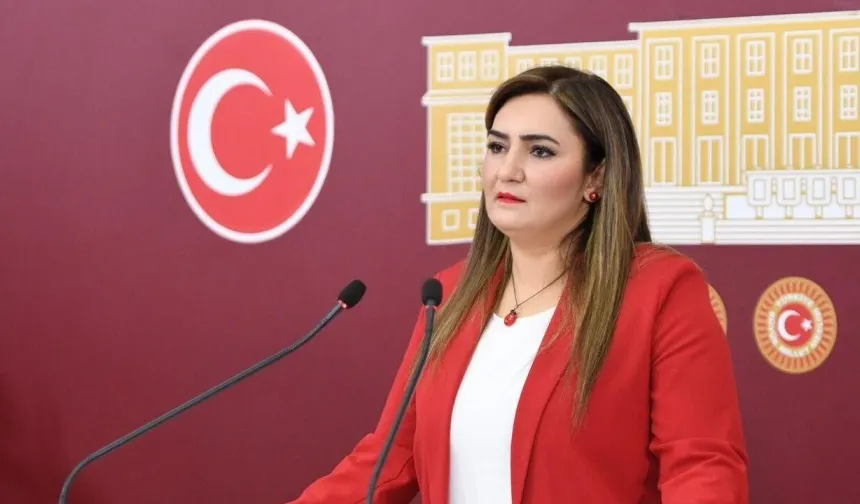 Öğretmenlerin sesi Meclis'te