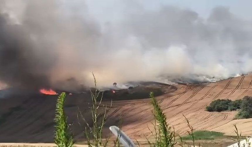 Rüzgâr yangını büyüttü