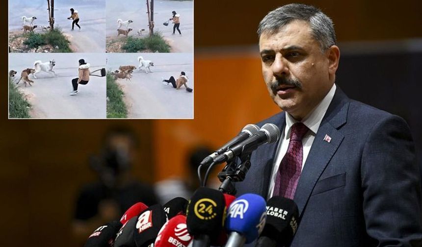Sokak köpekleri için yeni hedef
