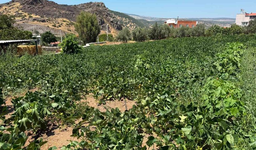 Menemen’de su hasreti çeken Ayvacık köyüne asırlık hizmet