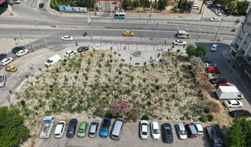 Kemer’de eski benzinlik mikro ormana dönüştü