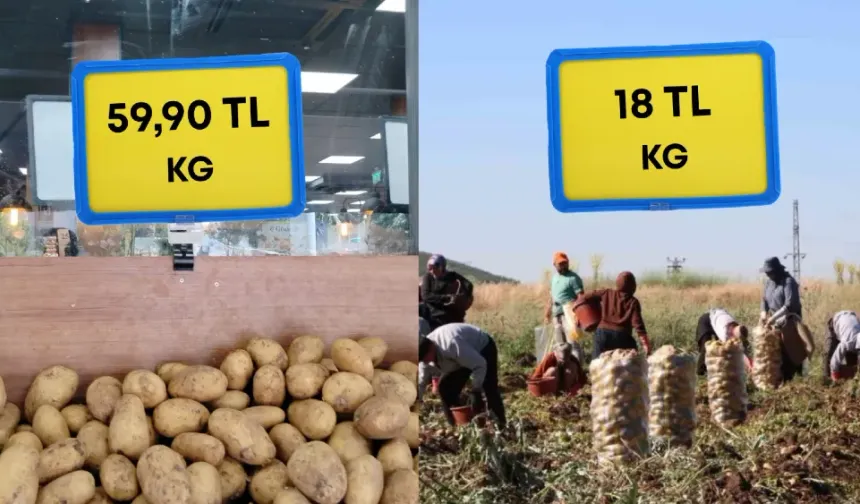 Patates tarlada 18, markette 60 lirayı geçti