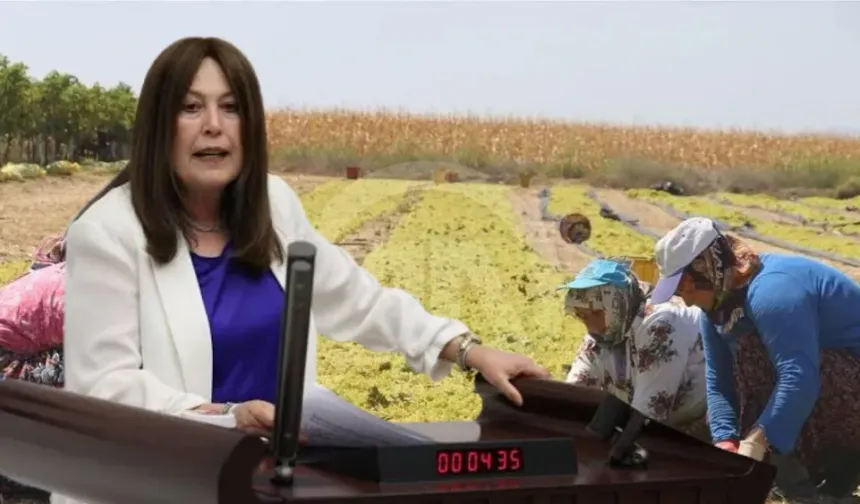 Şenol Sunat: Manisalı üzüm üreticisinin hakkı en az 180 lira