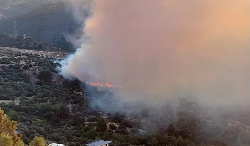 Bornova Homeros Vadisi'nde orman yangınına havadan ve karadan müdahale