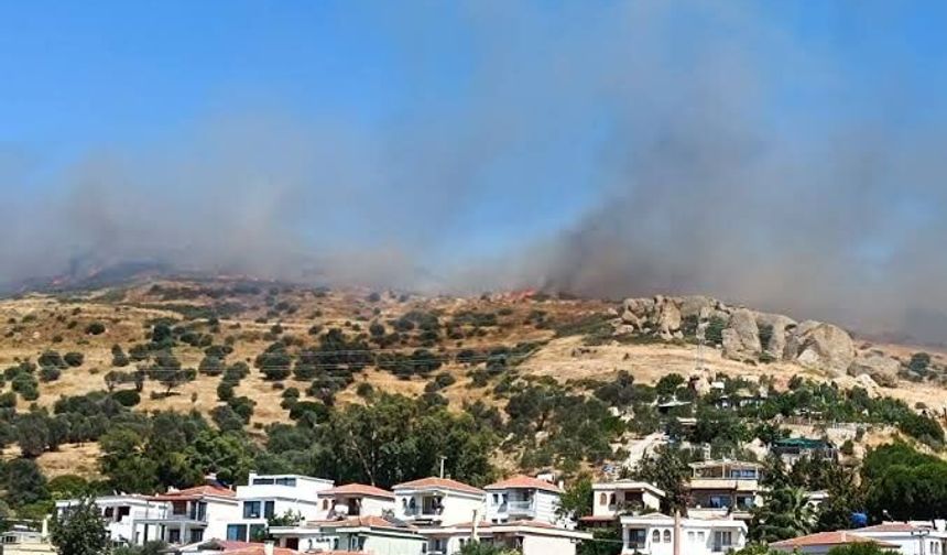 Foça’da yangın sürüyor: Soğutma çalışmaları devam ediyor