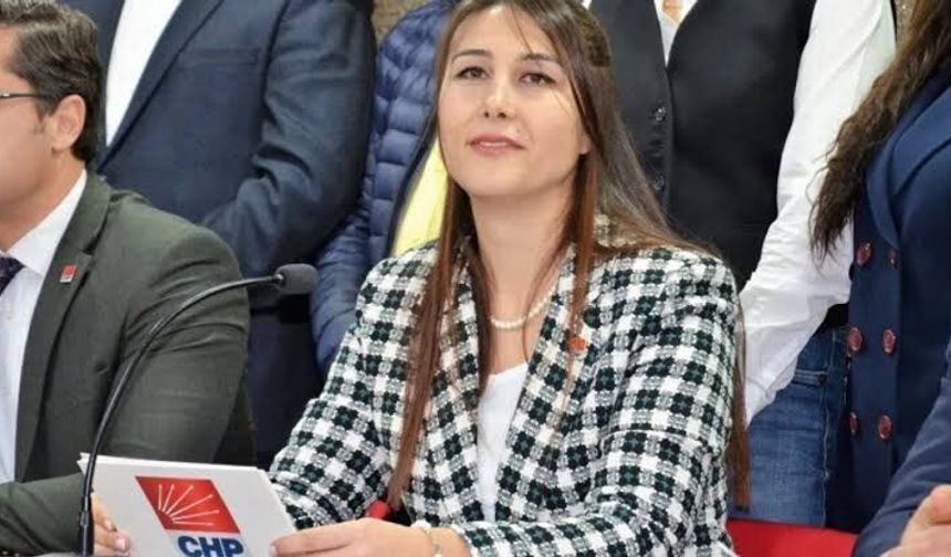 CHP'li Alçay: Bölünmek iktidarın ekmeğine yağ sürmek olur