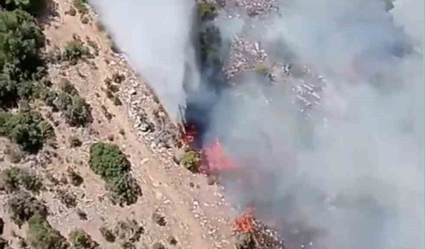 Kiraz’daki orman yangına havadan ve karadan müdahale