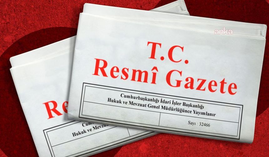 Üniversitelere yeni fakülte ve enstitüler kuruldu