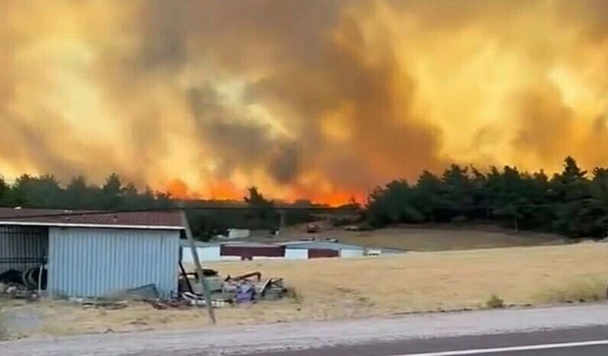 Çanakkale'de orman yangını! Müdahale sürüyor
