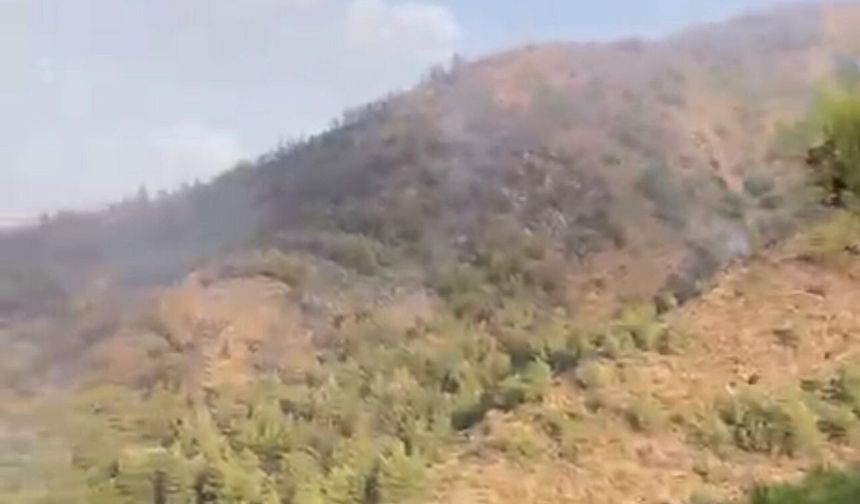 Marmaris’te orman yangını: Müdahale ikinci günde sürüyor