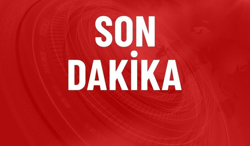 Alihan Kuriş operasyonunda 54 gözaltı, 11 şirkete kayyım