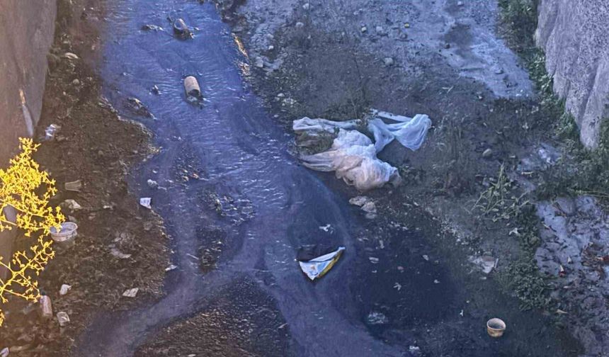 Urla’daki dere kirliliğine vatandaşlardan tepki