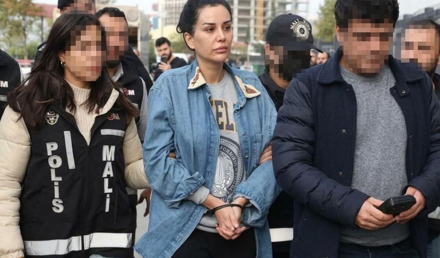 Dilan Polat ‘Cumhurbaşkanına hakaret’ suçlamasıyla gözaltında