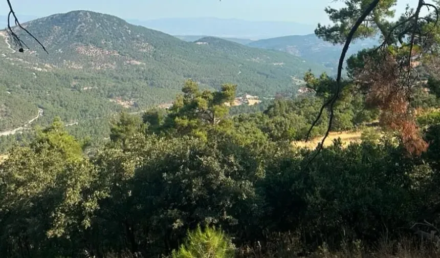 İzmir-Manisa arasına 145 milyon liralık enerji hattı