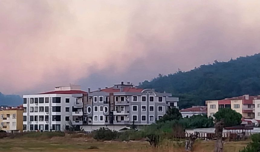 Ayvalık Küçükköy girişindeki yangın söndürüldü