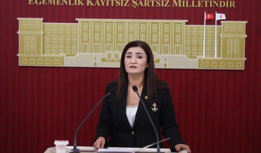 Sevda Erdan Kılıç’tan siyasilerin hesapları incelensin çağrısı