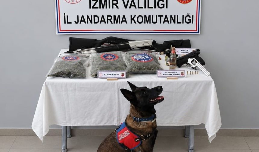 İzmir’de jandarmadan uyuşturucu operasyonu
