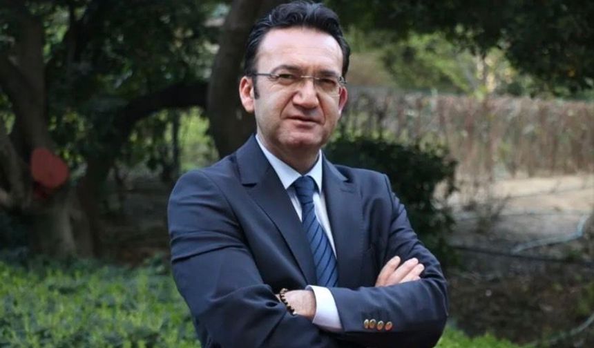 Zeytinde rekor rekolte üreticiyi çıkmaza sürüklüyor