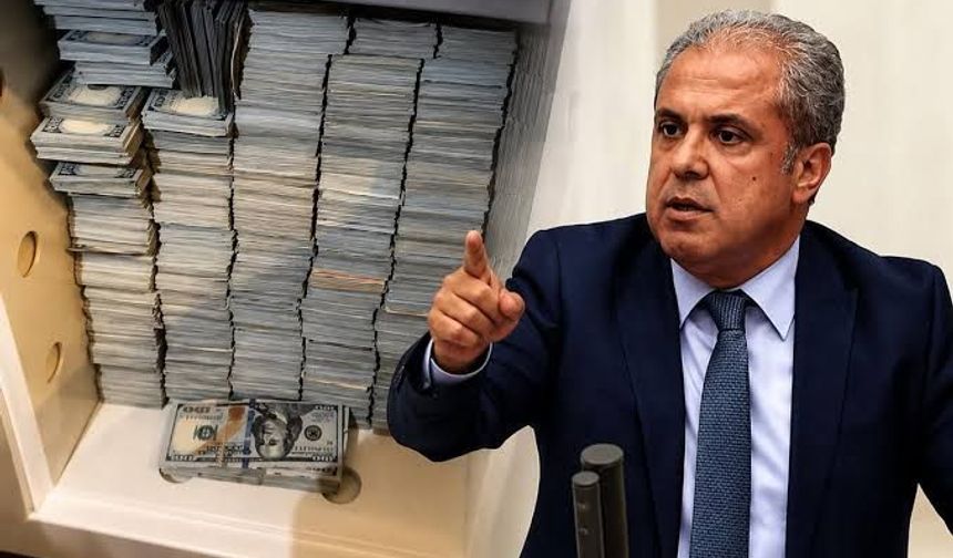 Şamil Tayyar'dan "fon" çıkışı:  Aç gözlüler devleti zehirledi