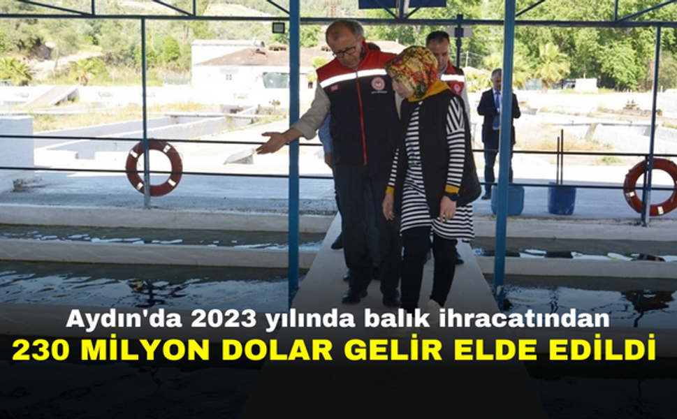 Aydın'da 2023 yılında balık ihracatından 230 milyon dolar gelir elde edildi