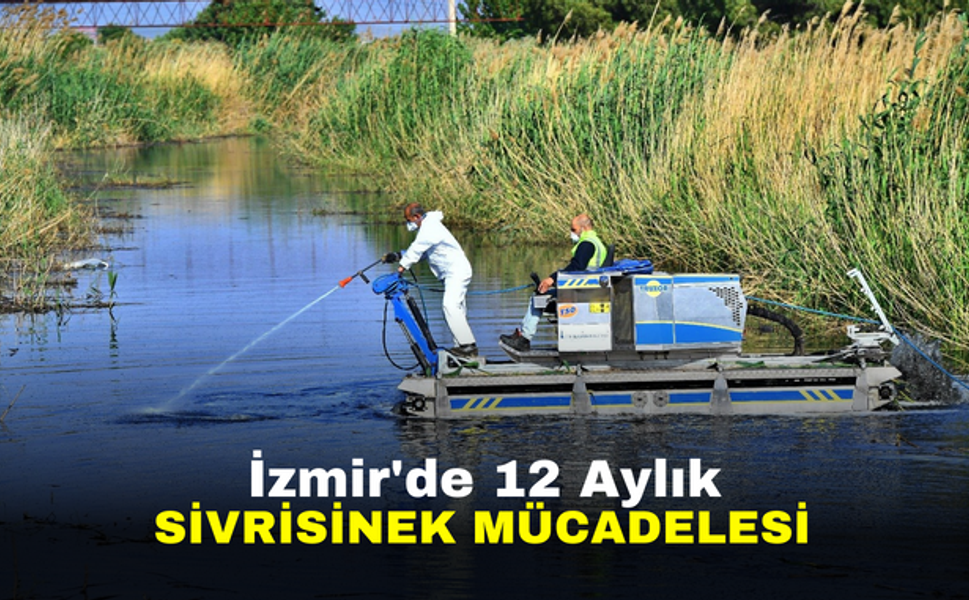 İzmir'de 12 aylık sivrisinek mücadelesi