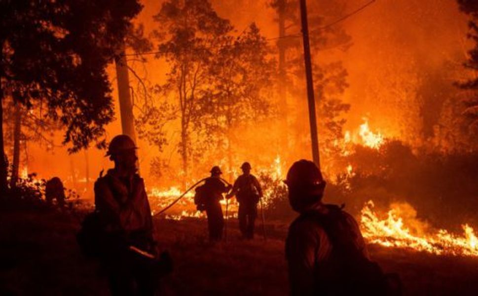 İklim Değişikliğiyle Mücadelede Orman Yangınlarının Rolü | Geleceğimizi Korumak