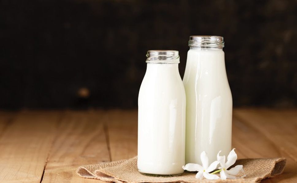 Sağlıklı ve kaliteli süt alışverişi için nelere dikkat etmeliyiz?