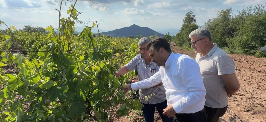 Dolu Felaketi Sonrası Çiftçiler Zor Durumda1