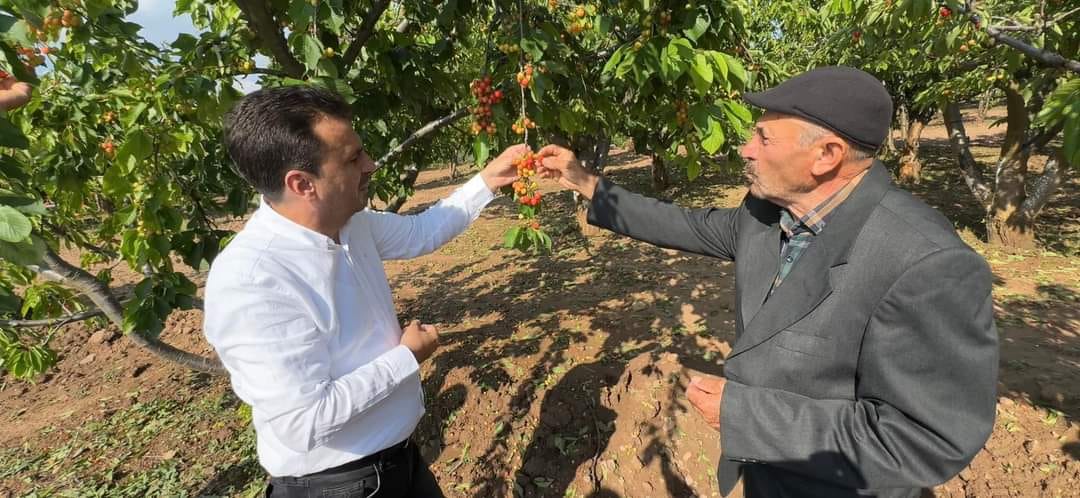 Dolu Felaketi Sonrası Çiftçiler Zor Durumda3