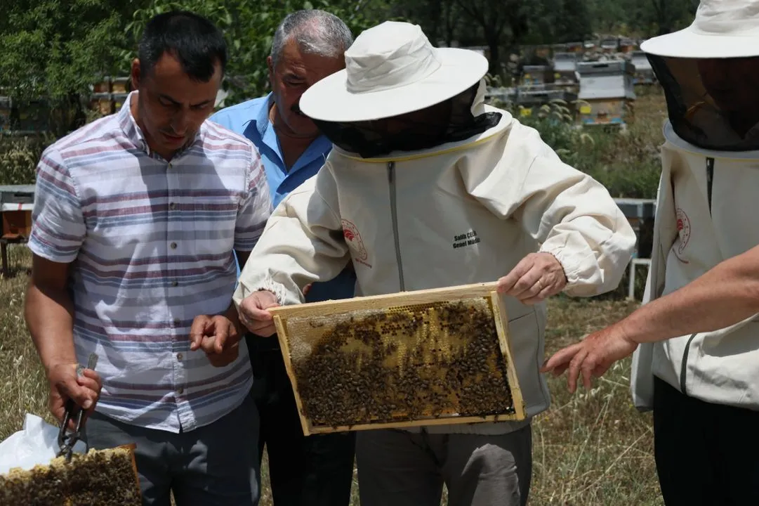 Muğla'da Arıcılığa Büyük Destek Yeni Proje Başlatıldı2