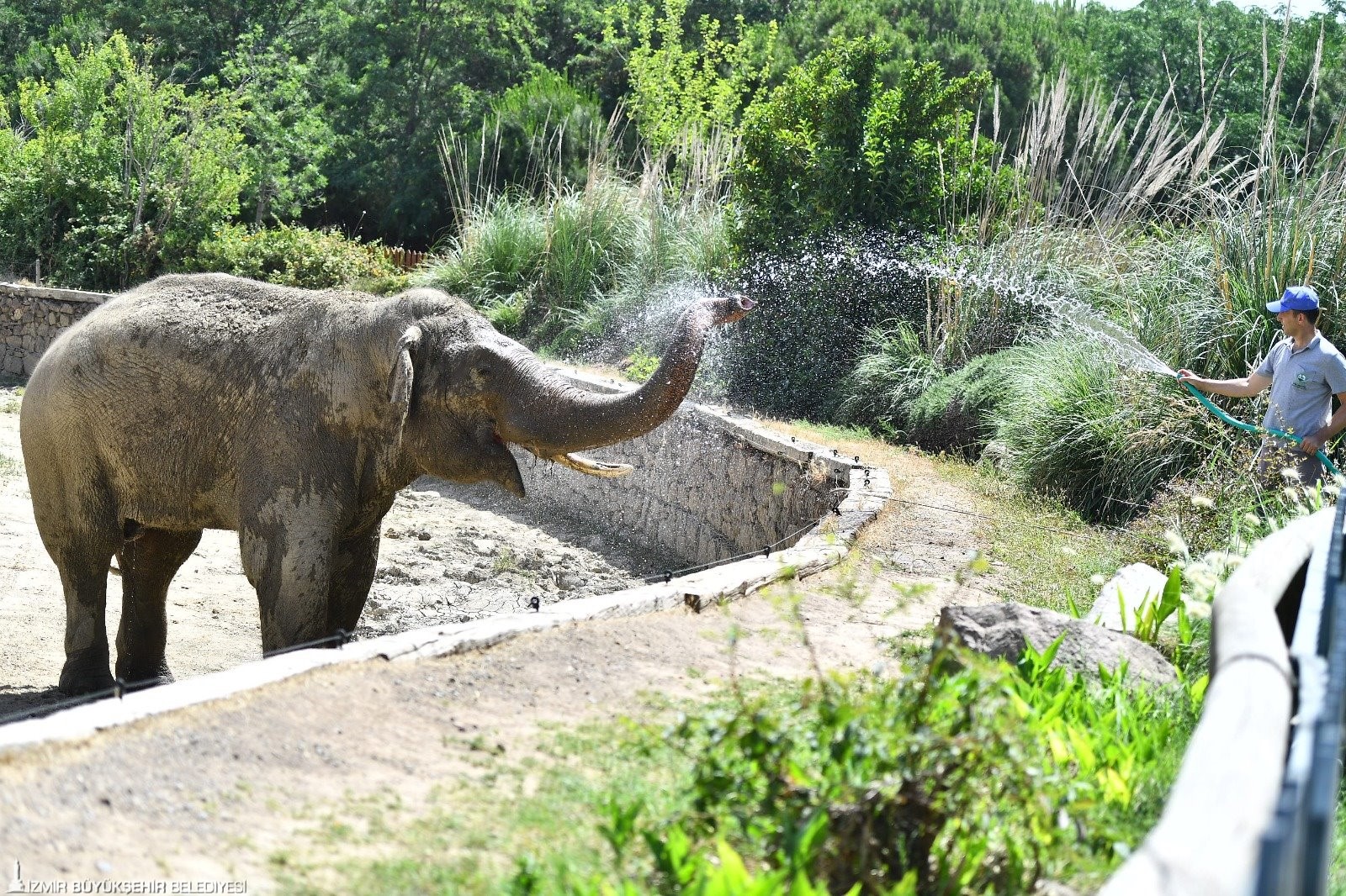 Izmir Doğal Yaşam Parkı3