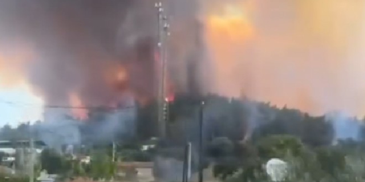 İzmir’de Bir Günde 18 Yangın 11'I Kontrol Altına Alındı
