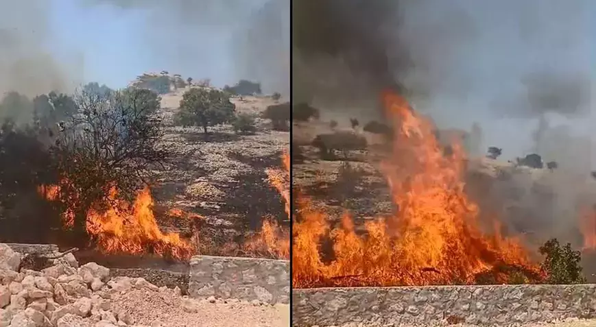 Mardin Yangın