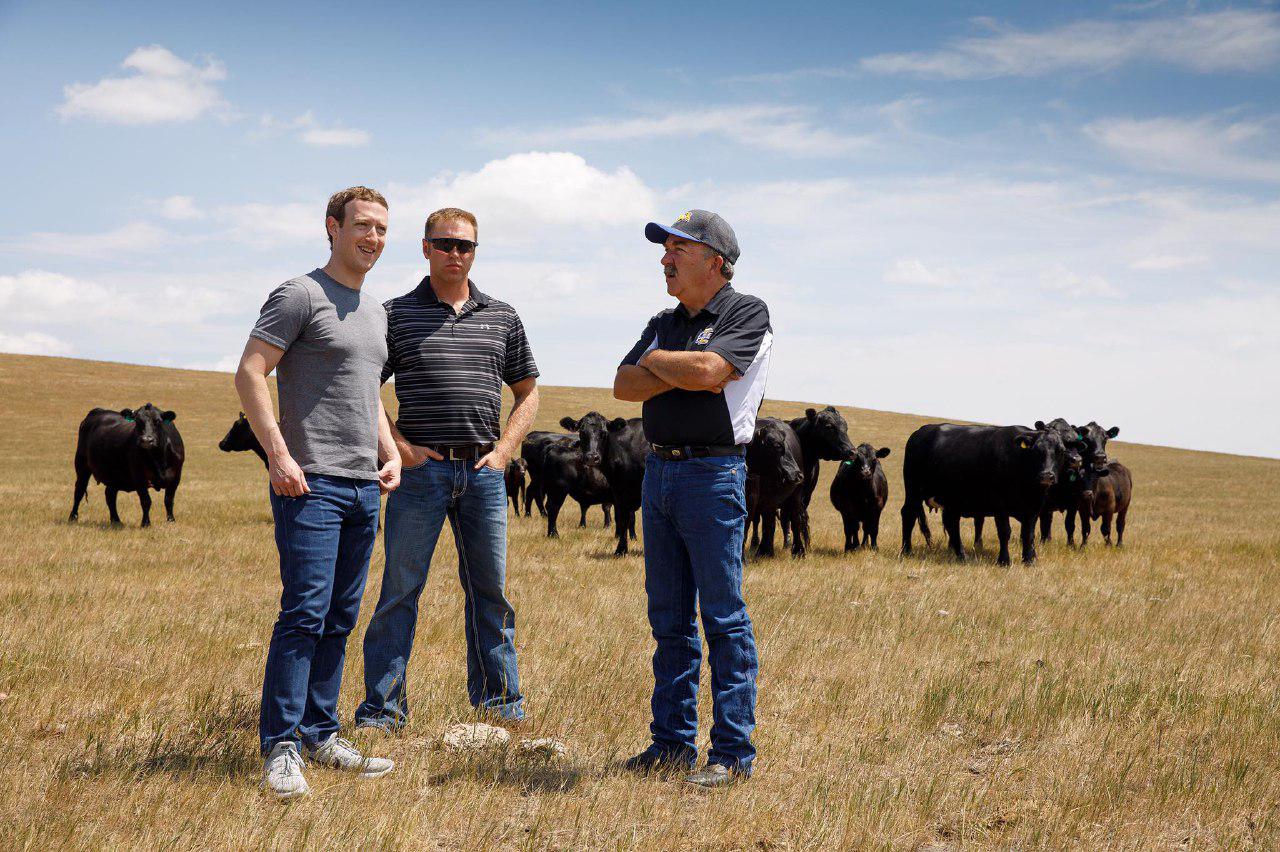 Mark Zuckerberg Little Farm