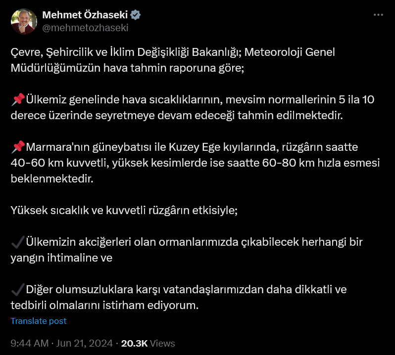 Mehmet Özhaseki-1