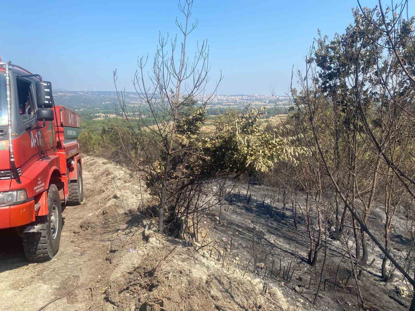 Ayvacık'taki Yangında Mücadele Sürüyor 1